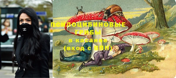 COCAINE Покачи