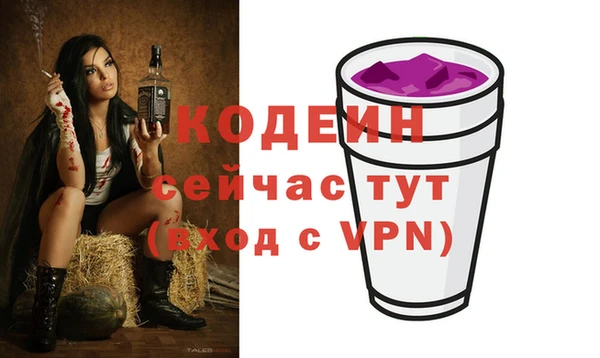 индика Покров