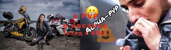 индика Покров