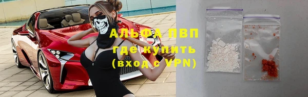 индика Покров