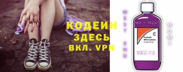 индика Покров