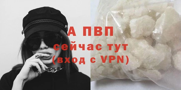 индика Покров