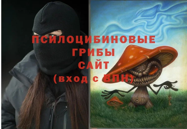 индика Покров