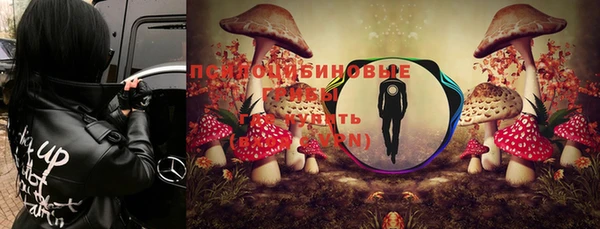 винт Покровск