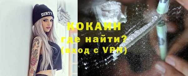 индика Покров