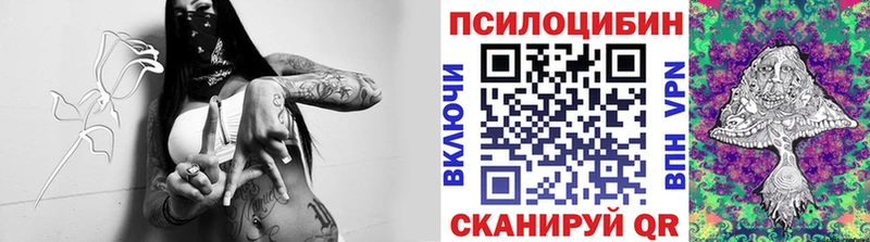 Галлюциногенные грибы Psilocybine cubensis Вытегра