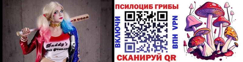 Галлюциногенные грибы Cubensis  Вытегра 