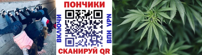 Бошки Шишки MAZAR Вытегра